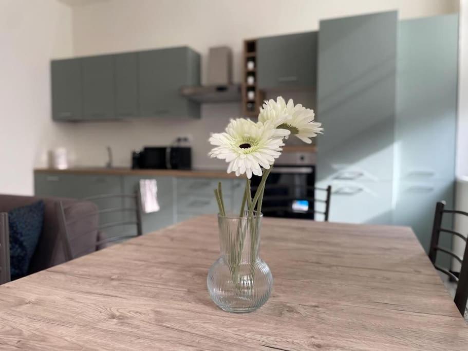 Apartamento C Moderno Soleggiato Vista Cattedrale Génova